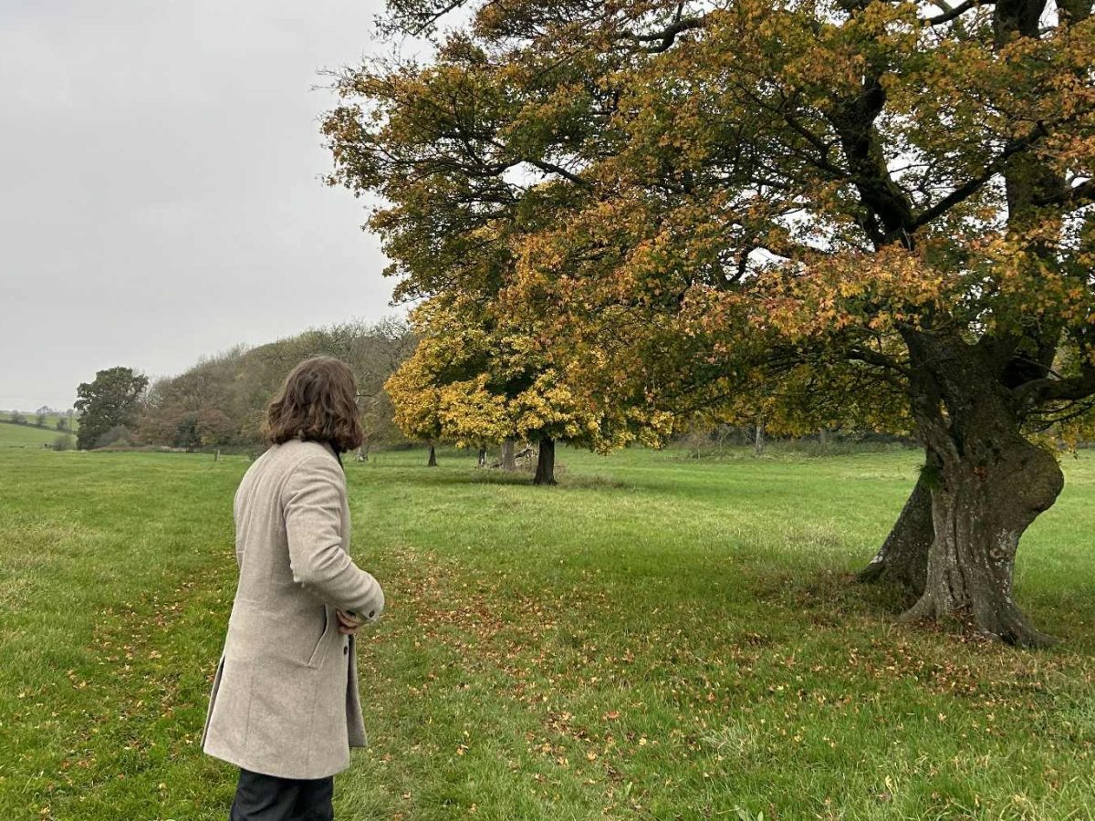 Me and My&nbsp;Writing