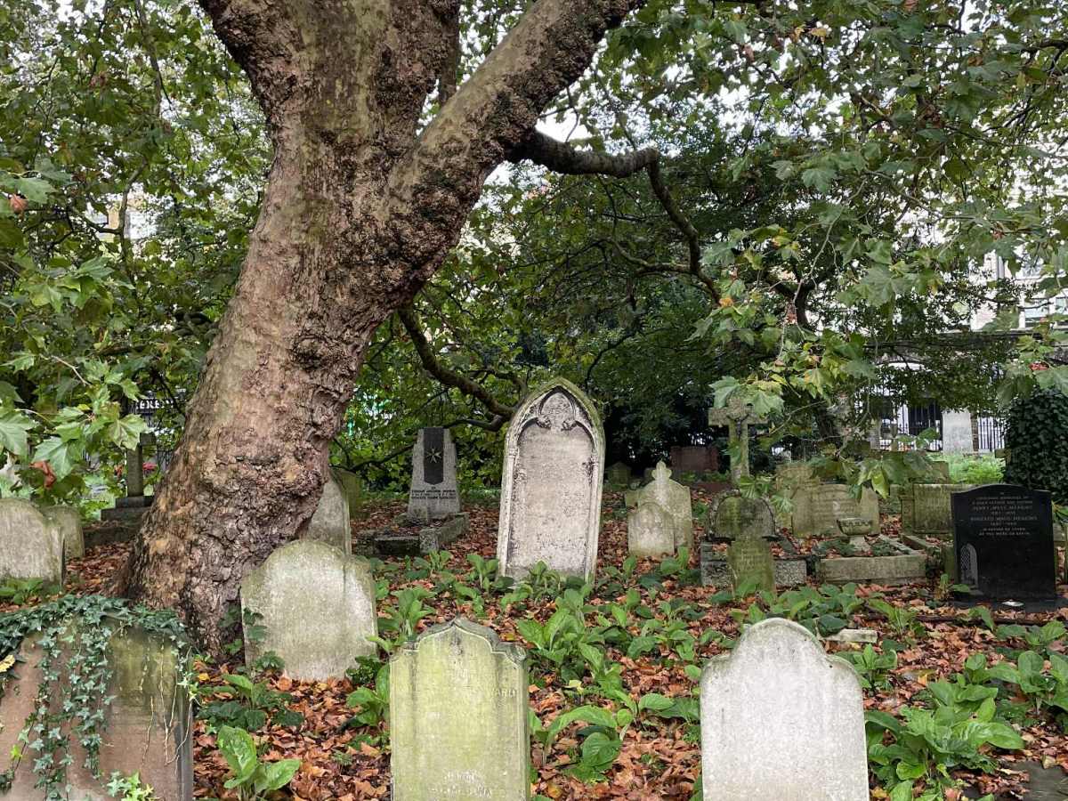 The Dead & the&nbsp;Drowned